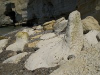 F, Seine-Maritime, Etretat, Plage d Antifer 13, Saxifraga-Willem van Kruijsbergen