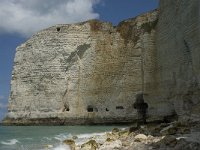 F, Seine-Maritime, Etretat, Pointe de la Courtine 14, Saxifraga-Willem van Kruijsbergen