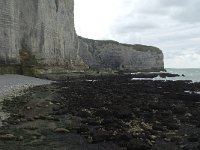 F, Seine-Maritime, Etretat, Pointe de la Courtine 2, Saxifraga-Willem van Kruijsbergen