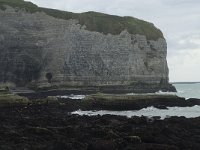 F, Seine-Maritime, Etretat, Pointe de la Courtine 3, Saxifraga-Willem van Kruijsbergen