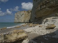 F, Seine-Maritime, Etretat, Pointe de la Courtine 9, Saxifraga-Willem van Kruijsbergen