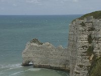 F, Seine-Maritime, Etretat, Porte d Amont 1, Saxifraga-Willem van Kruijsbergen