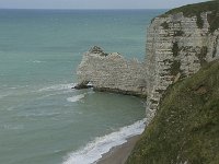 F, Seine-Maritime, Etretat, Porte d Amont 3, Saxifraga-Willem van Kruijsbergen