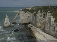 F, Seine-Maritime, Etretat, Porte d Aval 12, Saxifraga-Willem van Kruijsbergen