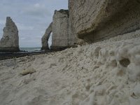 F, Seine-Maritime, Etretat, Porte d Aval 19, Saxifraga-Willem van Kruijsbergen