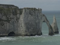 F, Seine-Maritime, Etretat, Porte d Aval 5, Saxifraga-Willem van Kruijsbergen