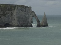 F, Seine-Maritime, Etretat, Porte d Aval 8, Saxifraga-Willem van Kruijsbergen