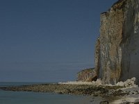 F, Seine-Maritime, Sassetot-le-Mauconduit, Les Grandes Dalles 17, Saxifraga-Willem van Kruijsbergen