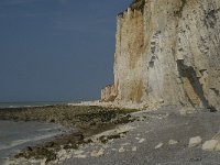 F, Seine-Maritime, Sassetot-le-Mauconduit, Les Grandes Dalles 3, Saxifraga-Willem van Kruijsbergen