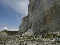 F, Seine-Maritime, Sassetot-le-Mauconduit, Les Petites Dalles 17, Saxifraga-Willem van Kruijsbergen