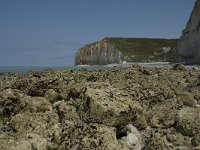 F, Seine-Maritime, Sassetot-le-Mauconduit, Les Petites Dalles 28, Saxifraga-Willem van Kruijsbergen