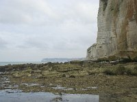 F, Seine-Maritime, Vattetot-sur-Mer, Vaucottes 7, Saxifraga-Willem van Kruijsbergen