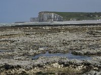 F, Seine-Maritime, Veulettes-sur-Mer 18, Saxifraga-Willem van Kruijsbergen