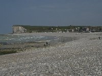 F, Seine-Maritime, Veulettes-sur-Mer 24, Saxifraga-Willem van Kruijsbergen