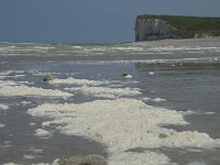 F, Seine-Maritime, Veulettes-sur-Mer 3, Saxifraga-Willem van Kruijsbergen