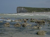 F, Seine-Maritime, Veulettes-sur-Mer 4, Saxifraga-Willem van Kruijsbergen