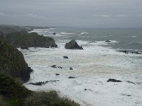 P, Beja, Odemira, Azenha do Mar 5, Saxifraga-Willem van Kruijsbergen