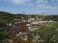 P, Faro, Aljezur, Carrapateira 185, Saxifraga-Willem van Kruijsbergen