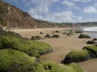 P, Faro, Aljezur, Carrapateira, Praia do Amado 17, Saxifraga-Willem van Kruijsbergen