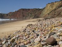 P, Faro, Aljezur, Carrapateira, Praia do Amado 2, Saxifraga-Willem van Kruijsbergen