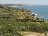 P, Faro, Burgau 11, Saxifraga-Jan van der Straaten