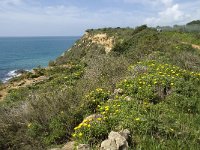 P, Faro, Burgau 12, Saxifraga-Willem van Kruijsbergen