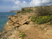 P, Faro, Burgau 16, Saxifraga-Willem van Kruijsbergen