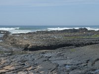 P, Faro, Rogil, Praia da Carriagem 12, Saxifraga-Willem van Kruijsbergen