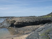 P, Faro, Rogil, Praia da Carriagem 13, Saxifraga-Willem van Kruijsbergen