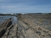 P, Faro, Rogil, Praia da Carriagem 17, Saxifraga-Willem van Kruijsbergen