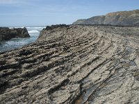 P, Faro, Rogil, Praia da Carriagem 24, Saxifraga-Willem van Kruijsbergen