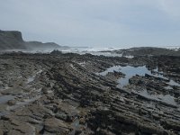 P, Faro, Rogil, Praia da Carriagem 28, Saxifraga-Willem van Kruijsbergen