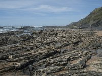 P, Faro, Rogil, Praia da Carriagem 33, Saxifraga-Willem van Kruijsbergen