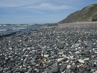 P, Faro, Rogil, Praia da Carriagem 34, Saxifraga-Willem van Kruijsbergen