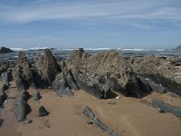 P, Faro, Rogil, Praia da Carriagem 40, Saxifraga-Willem van Kruijsbergen