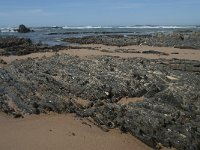 P, Faro, Rogil, Praia da Carriagem 42, Saxifraga-Willem van Kruijsbergen