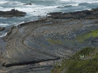 P, Faro, Rogil, Praia da Carriagem 7, Saxifraga-Willem van Kruijsbergen