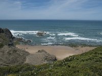 P, Faro, Rogil, Praia do Vale dos Homens 1, Saxifraga-Willem van Kruijsbergen