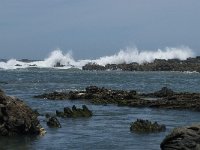 P, Faro, Rogil, Praia do Vale dos Homens 11, Saxifraga-Willem van Kruijsbergen