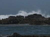 P, Faro, Rogil, Praia do Vale dos Homens 13, Saxifraga-Willem van Kruijsbergen