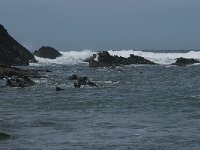 P, Faro, Rogil, Praia do Vale dos Homens 19, Saxifraga-Willem van Kruijsbergen