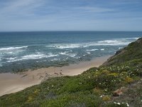 P, Faro, Rogil, Praia do Vale dos Homens 2, Saxifraga-Willem van Kruijsbergen