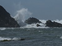 P, Faro, Rogil, Praia do Vale dos Homens 22, Saxifraga-Willem van Kruijsbergen