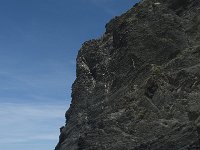 P, Faro, Rogil, Praia do Vale dos Homens 35, Saxifraga-Willem van Kruijsbergen