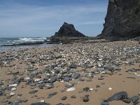 P, Faro, Rogil, Praia do Vale dos Homens 38, Saxifraga-Willem van Kruijsbergen