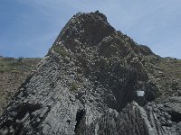 P, Faro, Rogil, Praia do Vale dos Homens 39, Saxifraga-Willem van Kruijsbergen