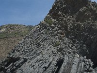 P, Faro, Rogil, Praia do Vale dos Homens 40, Saxifraga-Willem van Kruijsbergen