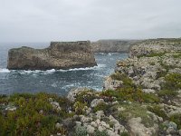 P, Faro, Vila do Bispo, Cabo Sao Vicente 10, Saxifraga-Willem van Kruijsbergen