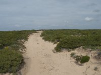 P, Faro, Vila do Bispo, Cabo Sao Vicente 112, Saxifraga-Willem van Kruijsbergen