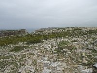 P, Faro, Vila do Bispo, Cabo Sao Vicente 12, Saxifraga-Willem van Kruijsbergen